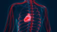 Covid-19 study suggests to screen recovering athletes for heart inflammation before they return to play