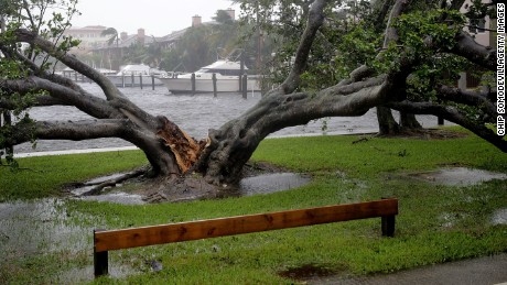 FORT LAUDERDALE, FL - SEPTEMBER 10:  High winds split a large tree in the Coral Beach neighborhood as Hurricane Irma hits the southern part of the state September 10, 2017 in Fort Lauderdale, Florida. The powerful hurricane made landfall in the United States in the Florida Keys at 9:10 a.m. after raking across the north coast of Cuba.  (Photo by Chip Somodevilla/Getty Images)
