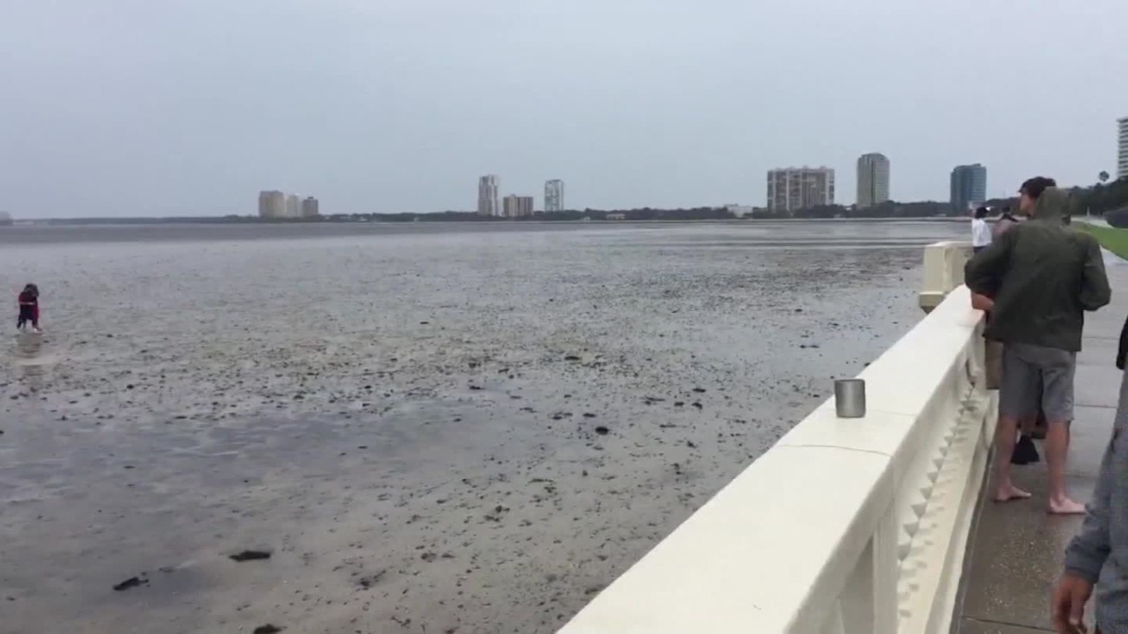 Storm Surge Brings Water Back To Tampa Bay - CNN Video