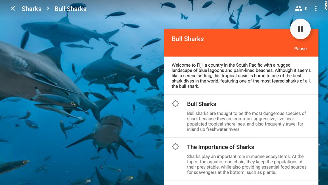 Others may choose to swim with bull sharks in Fiji, using one of Google&#39;s 600 different expeditions.