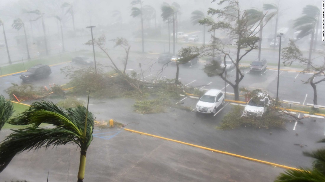 Trees are toppled outside the Roberto Clemente Coliseum in San Juan on September 20. 