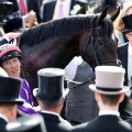 Best photos horseracing 2017: Derby hats
