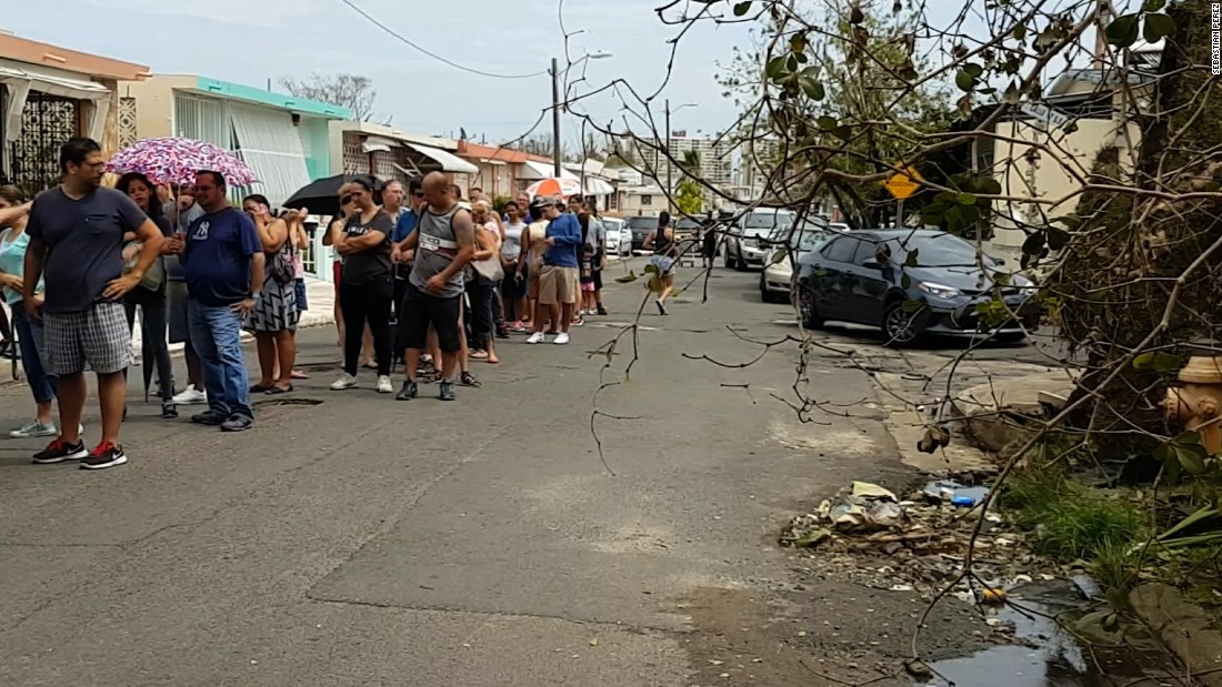 is pitbull puerto rican