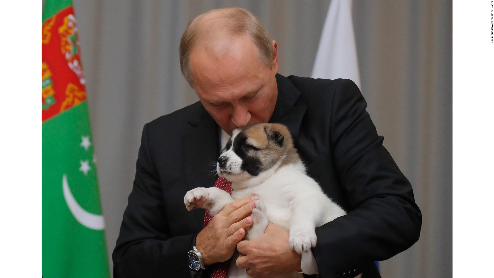 Vladimir Putin gets puppy for his 