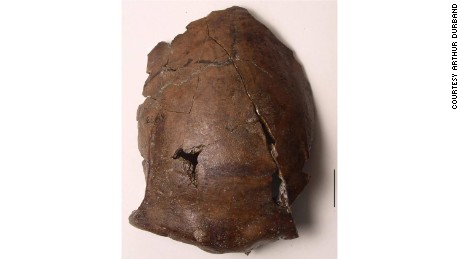 The 6,000-year-old skull found in Papua New Guinea 