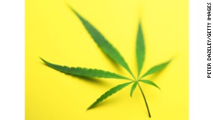 Regular marijuana users have more sex, study says