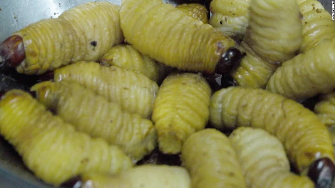 Gourmet worms: The Amazon's secret ingredient - CNN Video