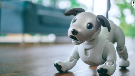 Image result for Aibo robotic dog