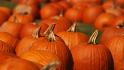 The surprising health benefits of pumpkin