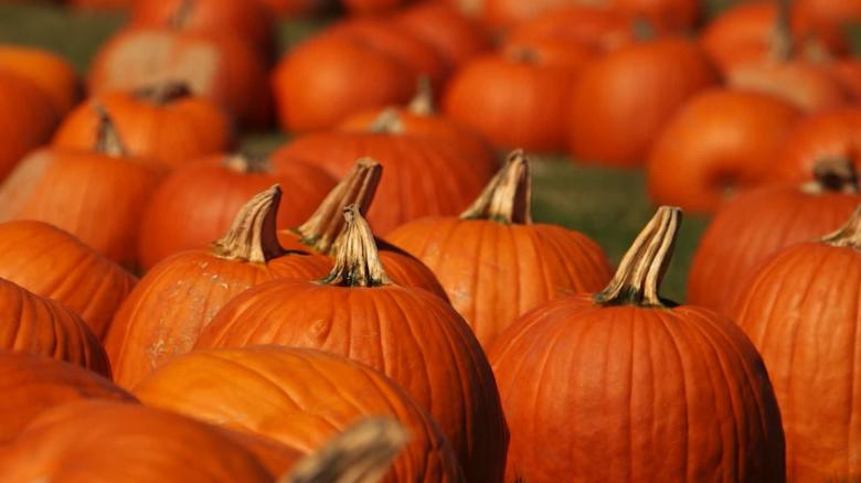 Image result for Take pumpkin to keep heart health