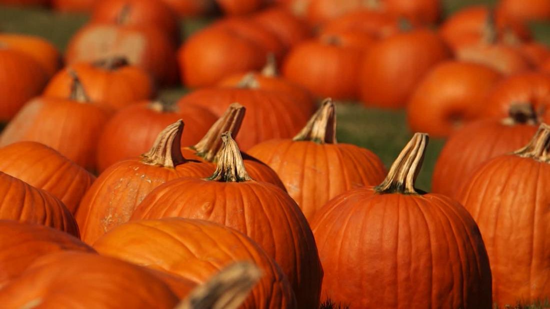 6-surprising-health-benefits-of-pumpkins-cnn