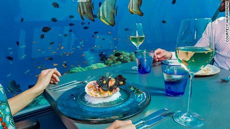 World S Largest All Glass Underwater Restaurant Cnn Travel