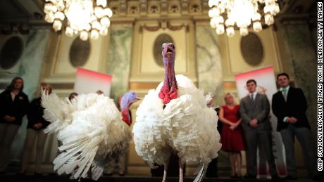 The process to pardon turkeys is more rational than the one used for humans