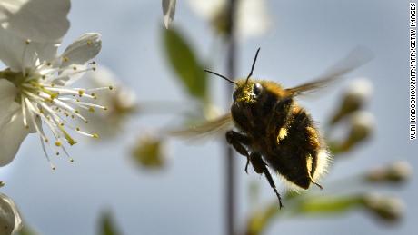 Climate change is making allergy season worse