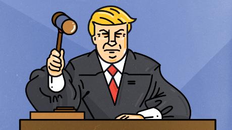 Image result for trump courts cartoons