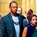 Tiger Woods court dui