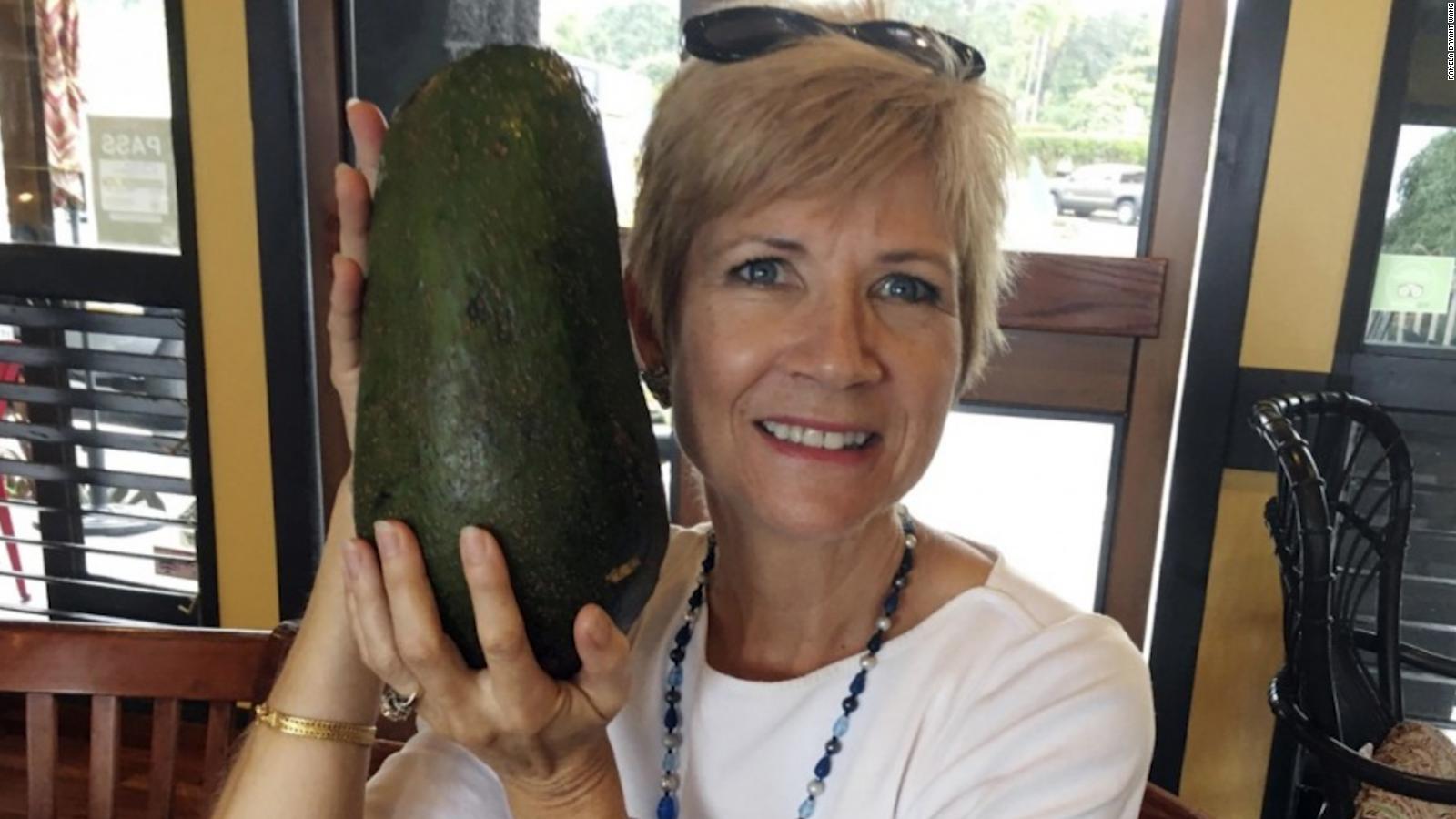 Woman Finds Potential Record Breaking Avocado Cnn Video 