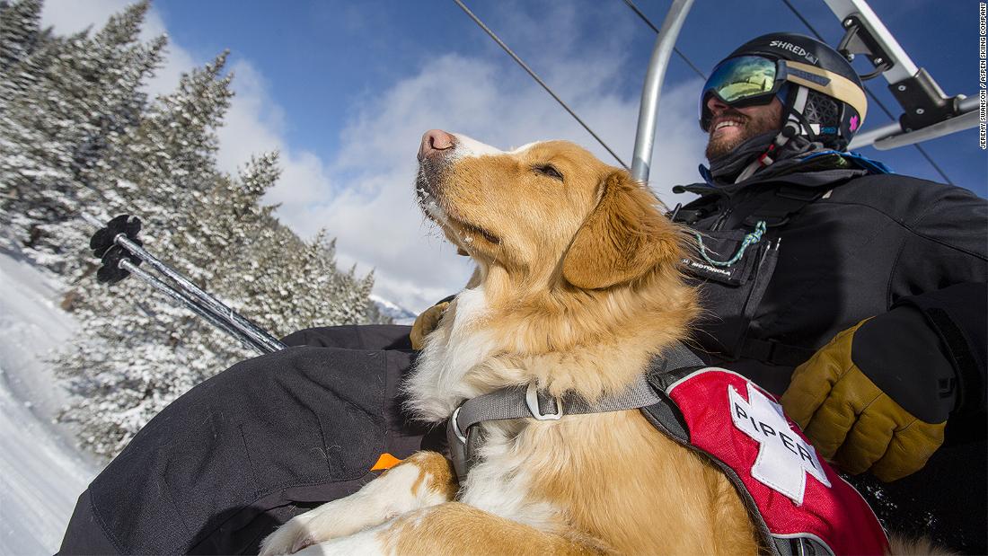 In Snowmass, Colorado, avalanche dogs train to save lives | CNN Travel