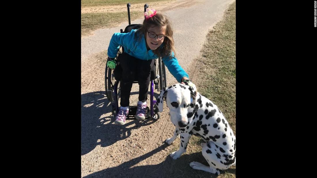 Avery&#39;s parents said she absolutely loves dogs and isn&#39;t shy about approaching strangers and motioning at their pets. It&#39;s her way of asking whether she can pet them.