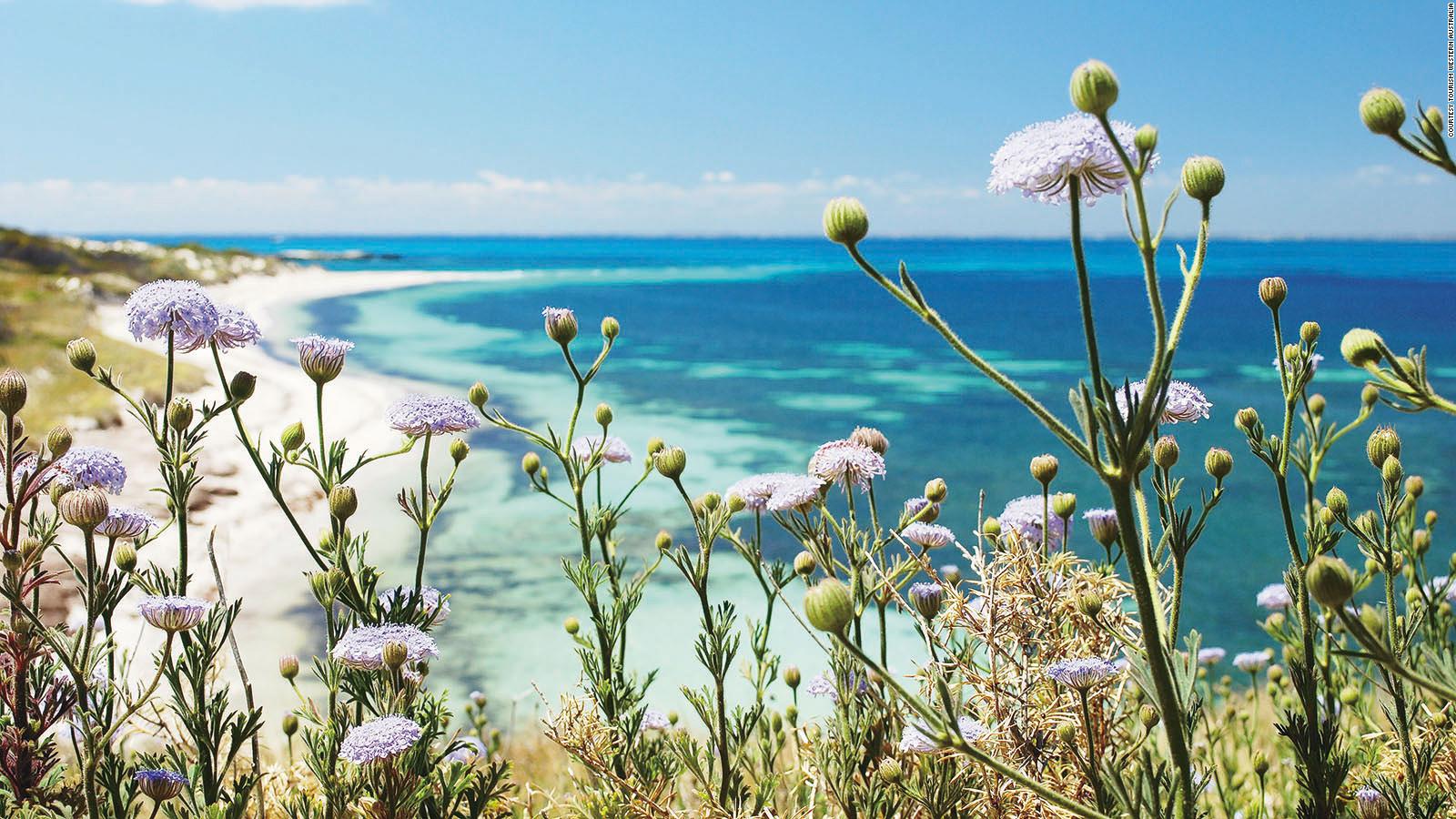 Rottnest Island Western Australia S Offshore Paradise Cnn Travel