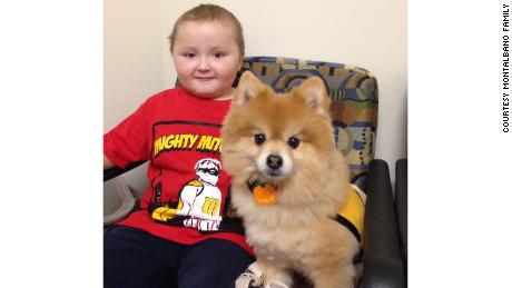 Four-year-old &quot;Mighty&quot; Mitchell Montalbano with Swoosh during the 2014 clinical trial.