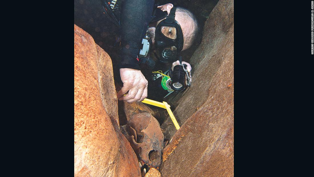 The team is led by underwater archaeologist Guillermo de Anda. He is pictured measuring a bear skull that dates from the ice age, found in a cenote.&lt;br /&gt;