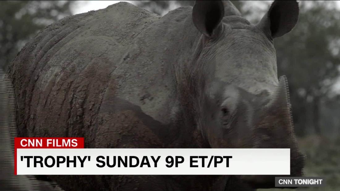 Expert: Trophy Hunting Is Not Conservation - Cnn Video