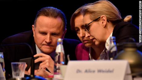 Co-leaders of the AfD&#39;s parliamentary group Joerg Meuthen (L) and Alice Weidel (R) will likely be pleased about the prospect of a new grand coalition.