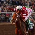 Gun Runner Pegasus World Cup richest horse race
