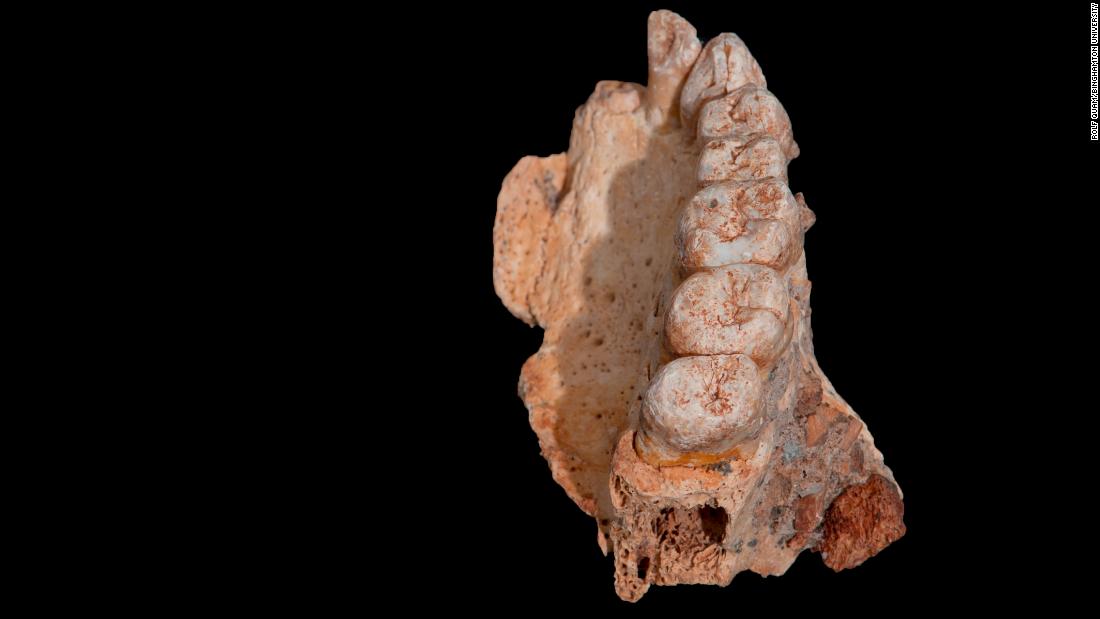 The earliest modern human fossil ever found outside of Africa has been recovered in Israel. This suggests that modern humans left Africa at least 50,000 years earlier than previously believed. The upper jawbone, including several teeth, was recovered in a prehistoric cave site.