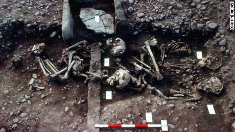 Rare find: Mass grave may belong to Viking Great Army