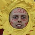rugby six nations wales fan