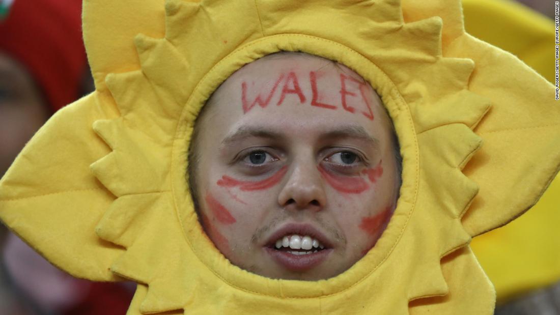 A happy Wales fan takes in the action in Cardiff as Wales trounce Scotland.