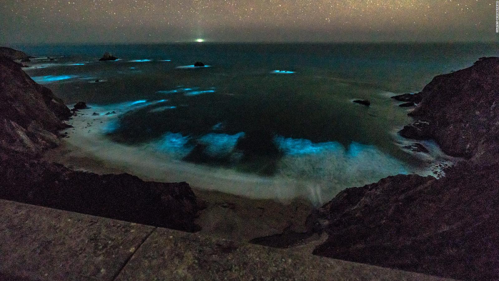 Bioluminescent waves light up Big Sur. And what a sight it is CNN