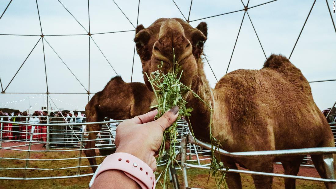&lt;strong&gt;Annual event:&lt;/strong&gt; There&#39;s an on-site dome enclosure where travelers can view rare and special camels, as well as activities including camel racing and a camel beauty pageant.&lt;br /&gt;