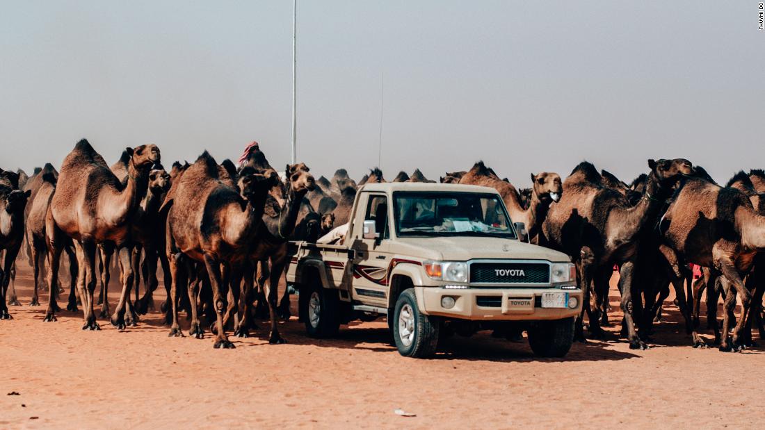 &lt;strong&gt;Desert excursion:&lt;/strong&gt; King Abdulaziz Camel Festival is hosted in Al-Dahna, an empty swathe of desert about 90 minutes&#39; drive from Riyadh. It is a good event to time a trip to Saudi Arabia around.&lt;br /&gt;