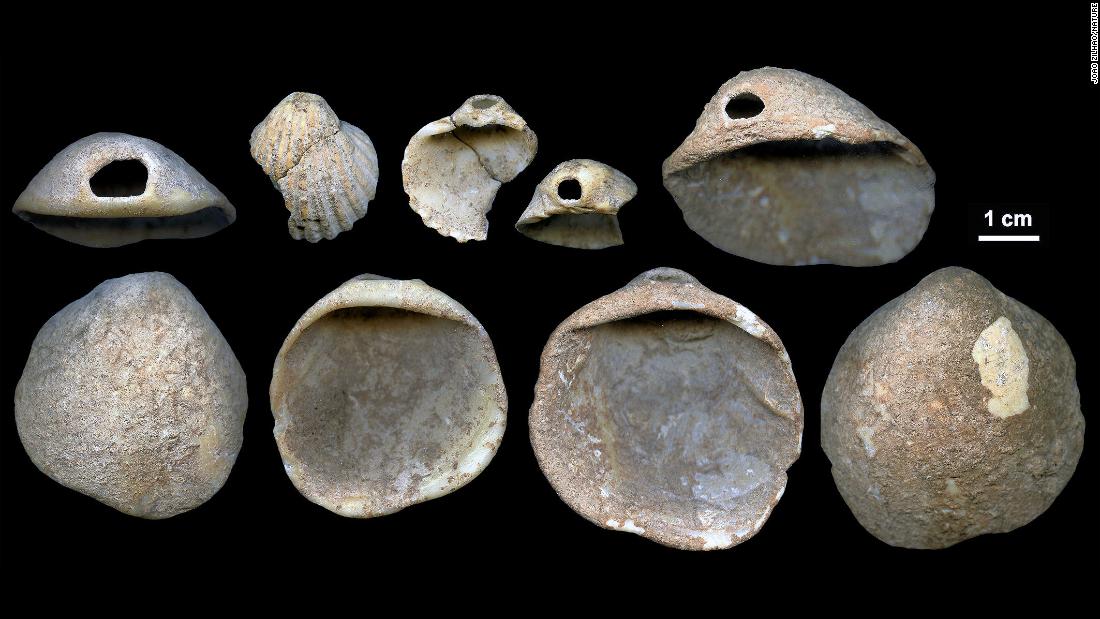 These perforated shells were found in Spain&#39;s Cueva de los Aviones sea cave and date to between 115,000 and 120,000 years ago. Researchers believe these served as body ornamentation for Neanderthals.