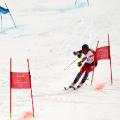 11 Winter Olympics 0224 alpine skiing team event