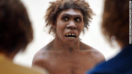 All modern humans have Neanderthal DNA, new research finds