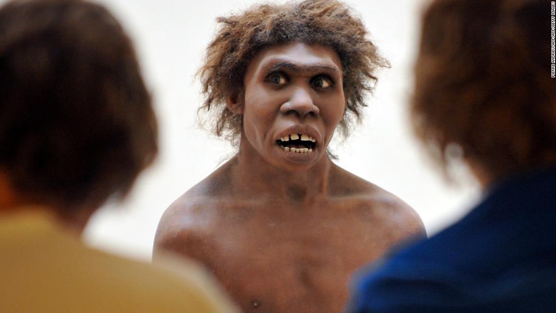 All modern humans have Neanderthal DNA, new research finds - CNN