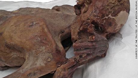 Predynastic male mummy from Gebelein