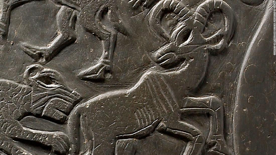 The horned animals have been identified as a wild bull and a Barbary sheep -- like the one pictured here that is carved onto a ceremonial palette from Predynastic Egypt. The characteristic out-turned horns and hump at the shoulder can be seen in the mummy&#39;s tattoo.