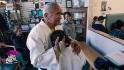 Willy Cahill: Judo&#39;s 82-year-old master