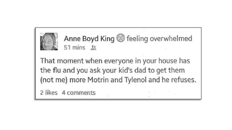 Anne King&#39;s Facebook post, as it appears in her civil complaint.