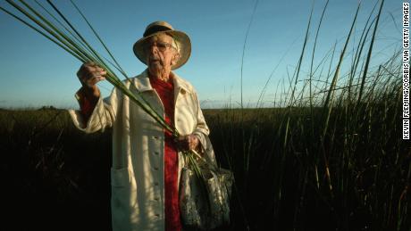 The Everglades River of Grass