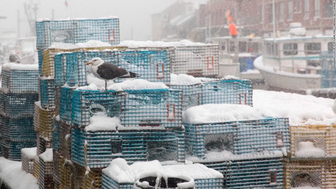 A seagull sits on lobster pots as the snow piles up in Portland, Maine, on March 13.