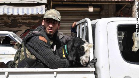 A  fighter rides in the back of a pickup truck with looted livestock.