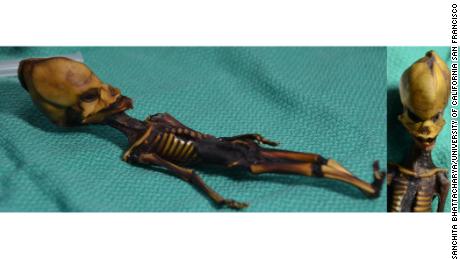 Researchers finally solve mystery of &#39;alien&#39; skeleton
