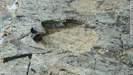 Dinosaur tracks found in Scotland shed light on mid-Jurassic period