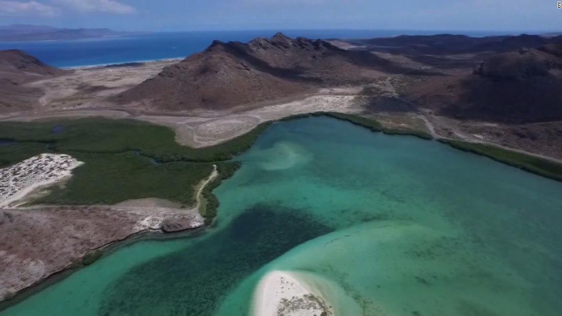 #LaImagenDelDía: Isla Balandra, un lugar paradisíaco en Baja California ...